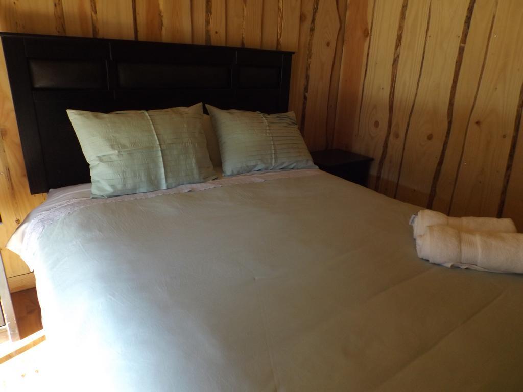 Hostal Los Alamos Neltume Ngoại thất bức ảnh