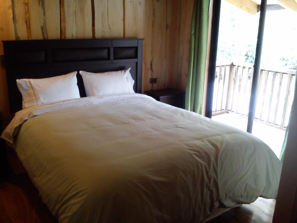 Hostal Los Alamos Neltume Ngoại thất bức ảnh